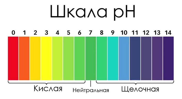 Sertificate